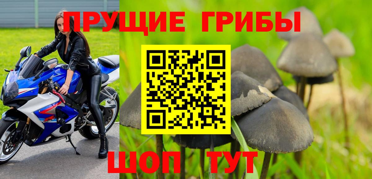 Псилоцибиновые грибы Psilocybine cubensis  дарнет шоп  Партизанск  Вход с VPN 