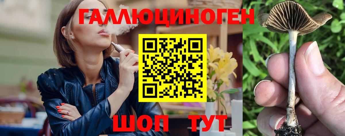 Галлюциногенные грибы ЛСД Партизанск